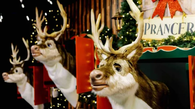 Christmas Wonderland 2025 REINDEER TOWN