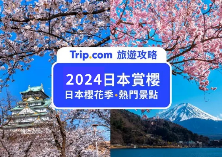 【2024日本櫻花季】最新日本櫻花預測，35個必訪朝聖地｜河口湖櫻花景點，同時看到富士山與櫻花！