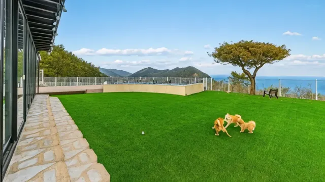 여수 애견 동반 펜션