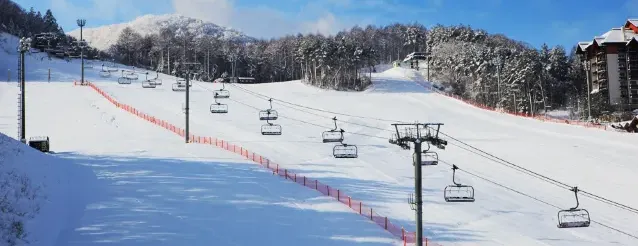 평창 모나 용평 스키장