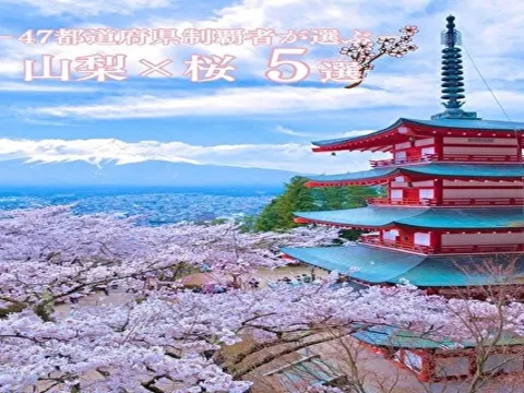 保存版】山梨の桜を迷ったらココ‼️1日で回るルートプラン