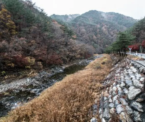 계곡 추천 김삿갓 계곡