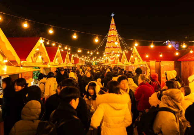 광화문 크리스마스 트리