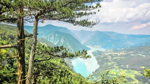 Национальный парк Тара