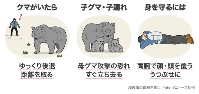 熊に遭遇してしまった時の対処法