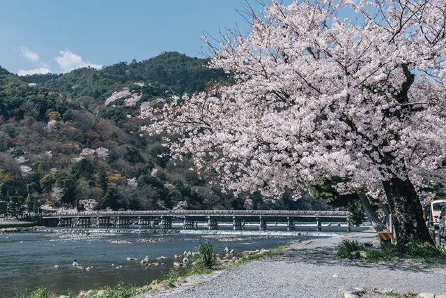 嵐山
