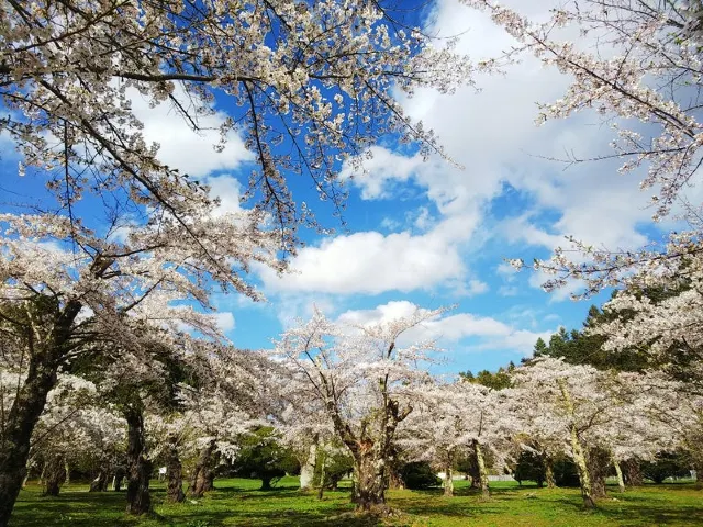 笹流ダム（赤川水源地）
