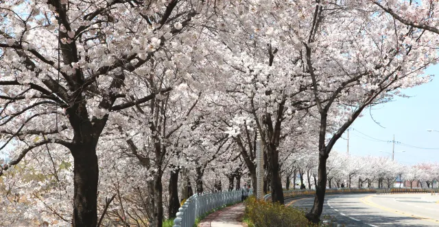 국내 여행지 추천, 전주