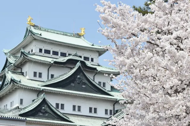 일본 관광 추천 나고야 지브리파크