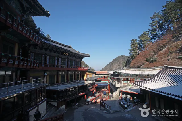 단양 여행 구인사