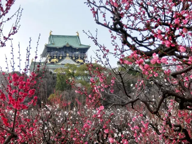 大阪：大阪城公園