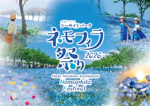 ネモフィラ2026】ネモフィラの花言葉・開花時期・公園までのアクセス