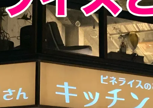 京都定番B級グルメ　キッチンゴンのピネライスに大満足 !