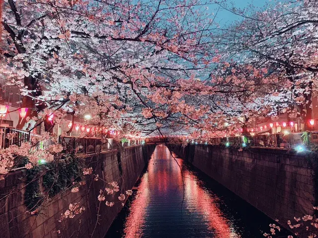 中目黑