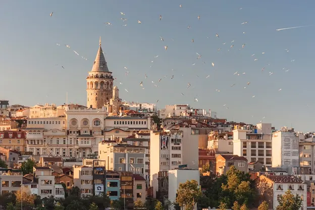 Seagulls flying against Istanbul's skyline