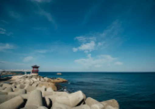 서울에서 출발하는 강원도 기차여행 BEST 4