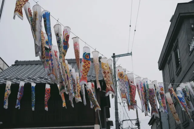こどもの日2026】鯉のぼりと伝統で祝う、子どもの健やかな成長を願う