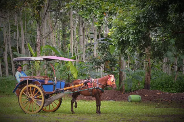 candi rejo village view