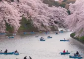 お花見|桜名所のおすすめ|九州・沖縄・中国地方