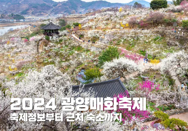 광양매화축제