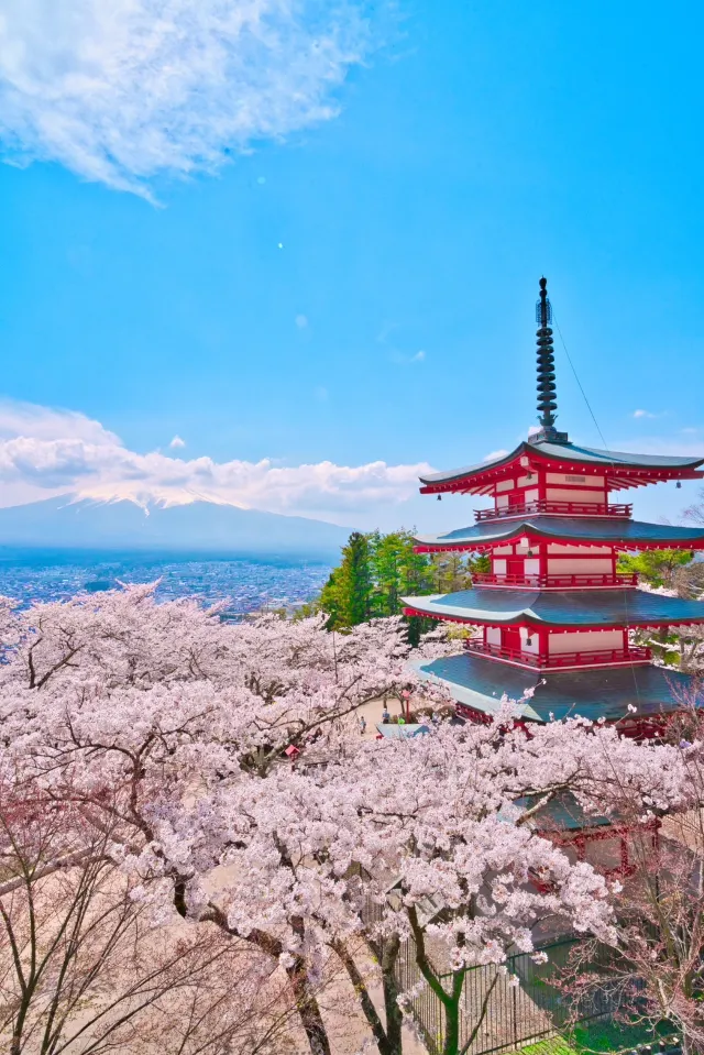 保存版】山梨の桜を迷ったらココ‼️1日で回るルートプラン付き🚗💨