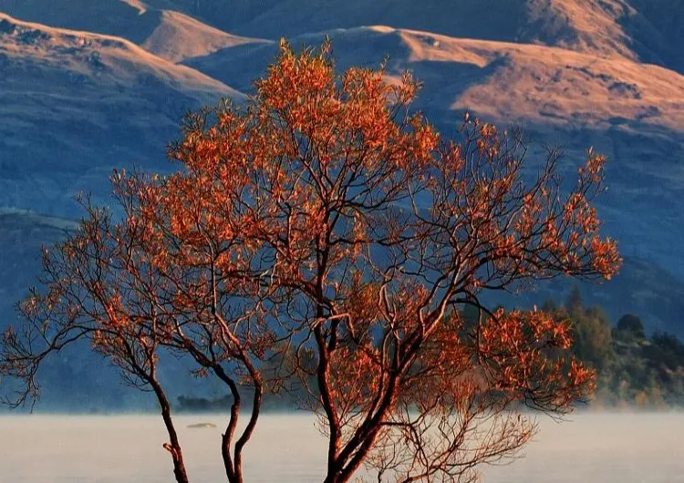 Things to do in Wanaka in Autumn and Winter 2024: Low-Key Charming Town for Sports and Relaxation