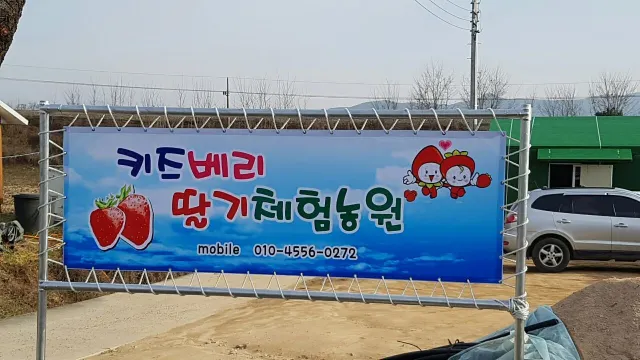 경주 딸기 농장 체험