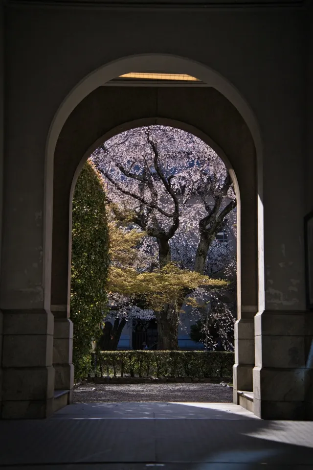 京都府庁旧本館