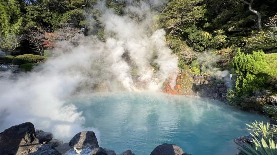 別府的海地獄！這個溫泉達到100度高溫，我去的時候正值冬天，