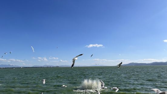 The Dian lake is one of the po