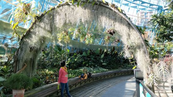 隸屬於國立自然科學博物館的【台中植物園】占地寬廣， 園區內以