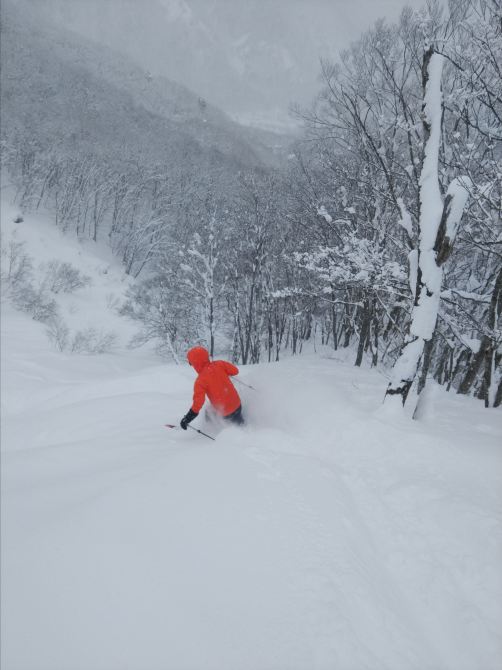 Nozawa Onsen Snow Resort Tickets [2026] - Promos, Prices, Reviews