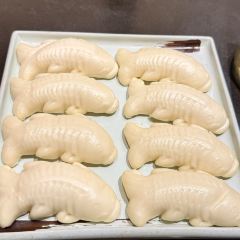 AWU YELLOW RIVER COMMON CARP 여행 사진