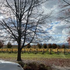 Oakridge Wines User Photo