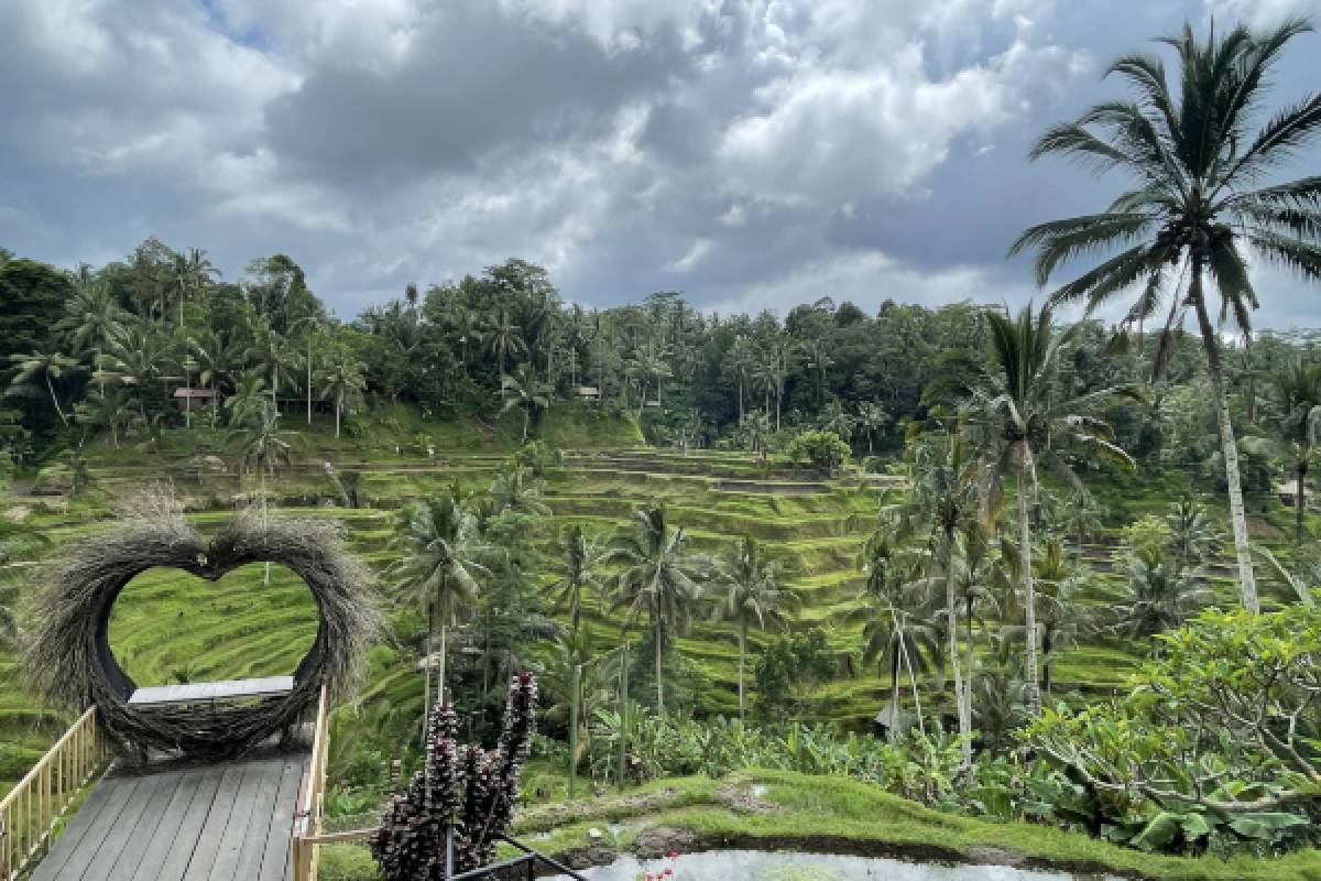 Tegallalang