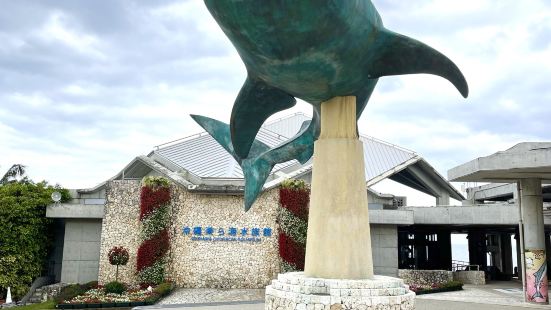 沖縄で一番好きなスポットは沖縄美ら海水族館です。2回行ったこ