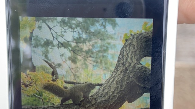 review picture