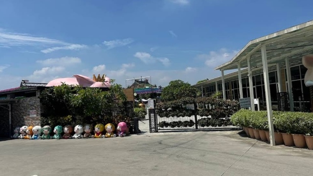 review picture