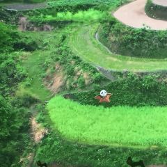 TASTE OF CHINA 미 몰입형 레스토랑 여행 사진