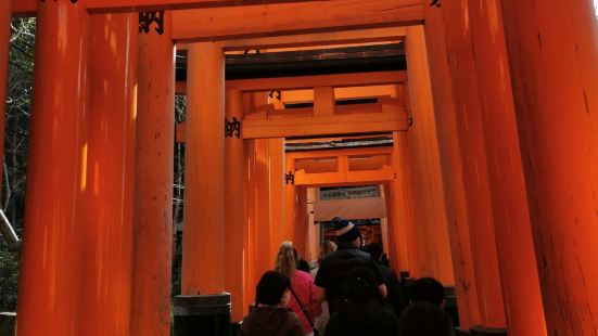 Famous torii gate temple in Ky