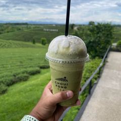 Tambu Phuket 여행 사진