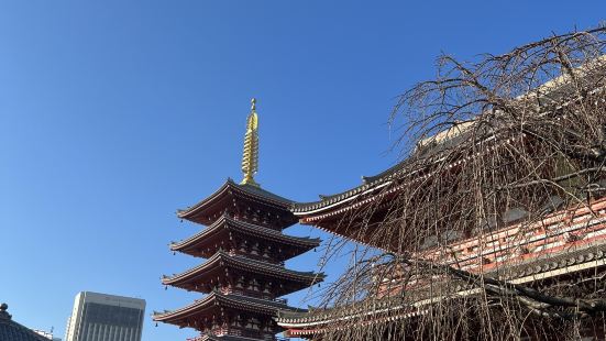 浅草寺は歴史ある仏教寺院で、五重塔や仁王門など見どころ満載。