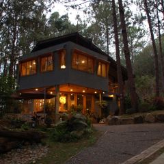Rừng Thông Mơ Farm & Bistro User Photo