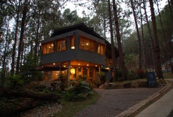 Rừng Thông Mơ Farm & Bistro User Photo