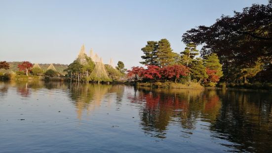 紅葉の美しい時期でした。来る冬の準備が始まっていて庭師さんが