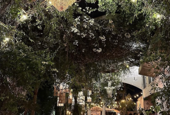 Penny Lane user photo