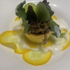 SUN PLANT User Photo