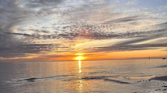 Adelaide Glenelg Beach, 市區搭tra