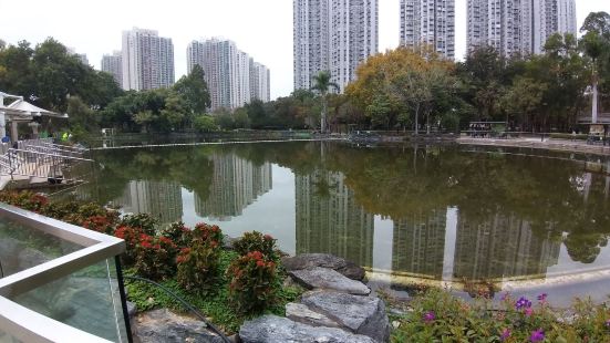 昨天到了天水圍公園,公園規範很大,而且各出口都能通往車站和不