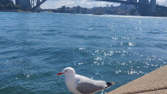 The Sydney Harbour Bridge is o